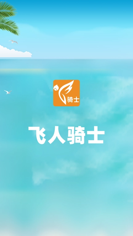 飞人骑士
