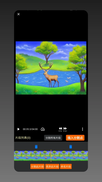 视频分割专业版