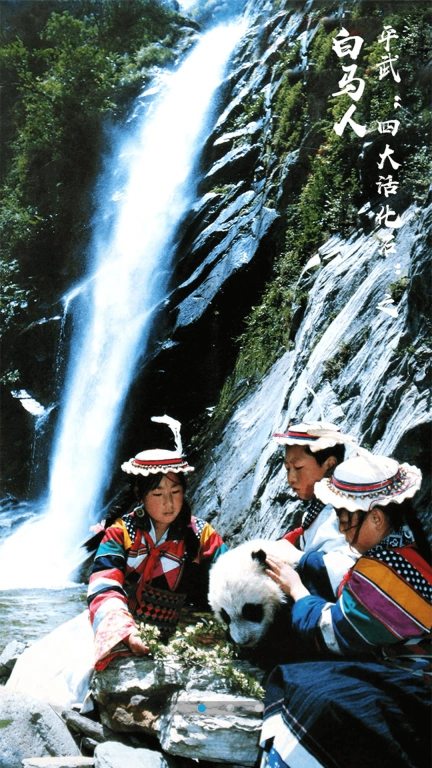 直播平武