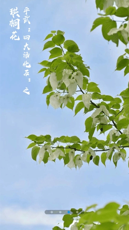 直播平武