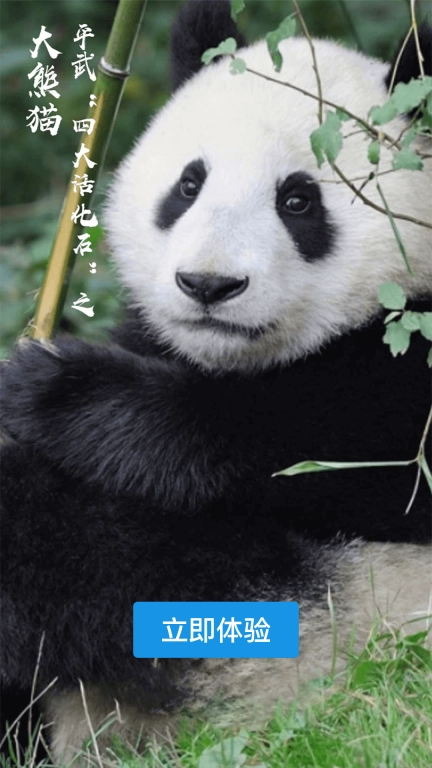 直播平武