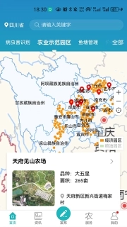 四川e农