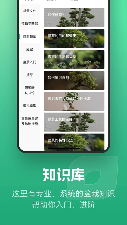 知芽盆栽-盆景人的专属社区