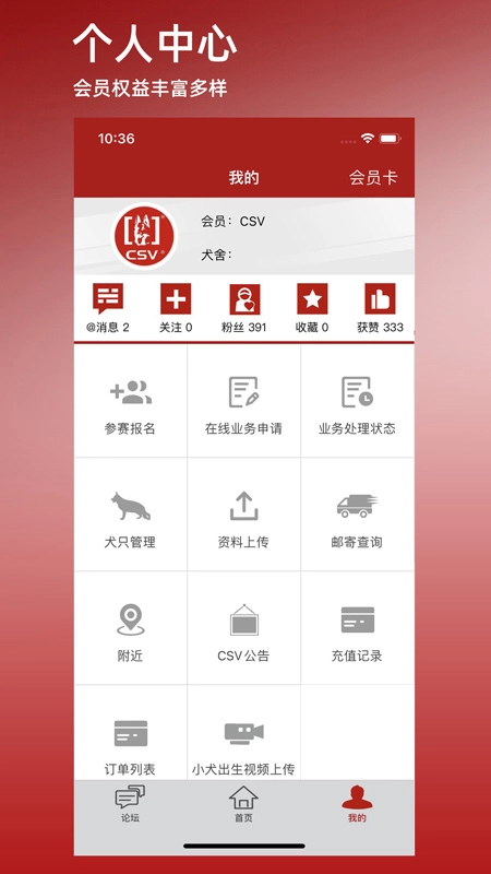 CSV