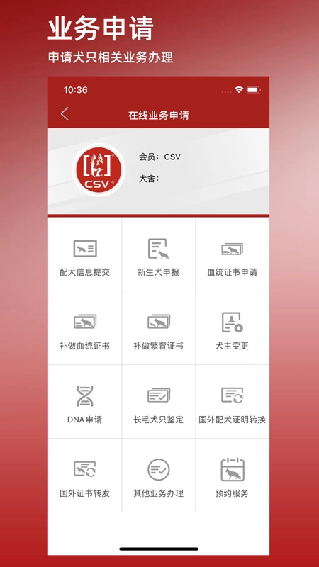 CSV