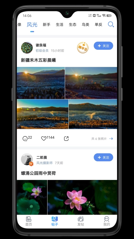 蜂鸟摄影