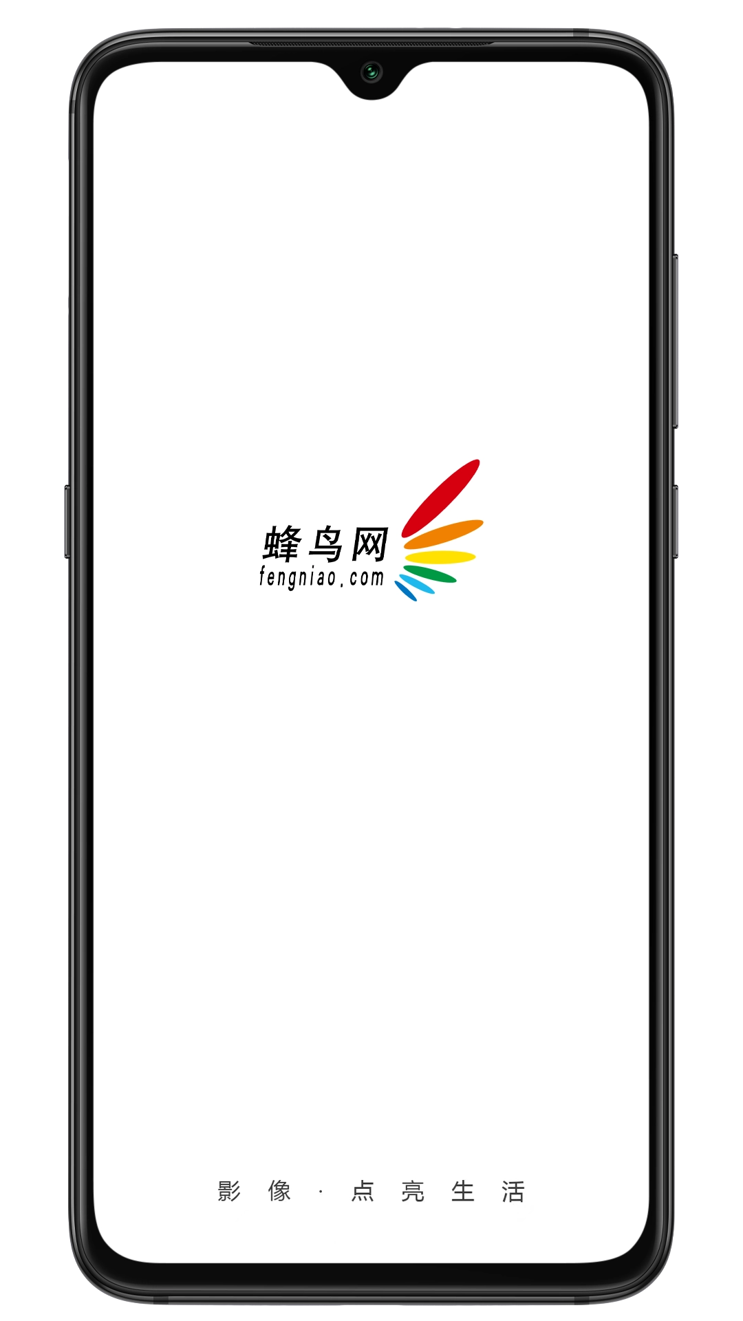 蜂鸟摄影