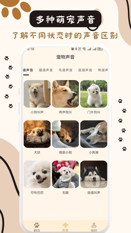 猫狗互动翻译