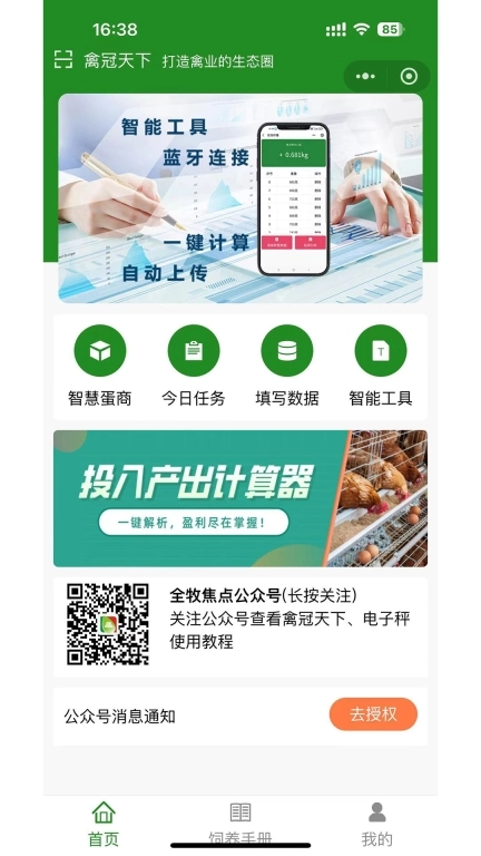禽冠天下