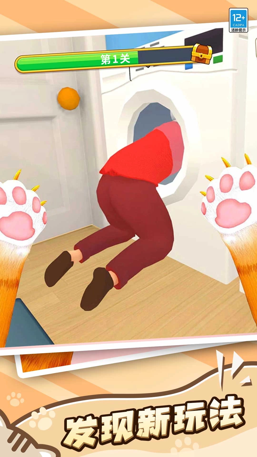 肥猫爱拆家