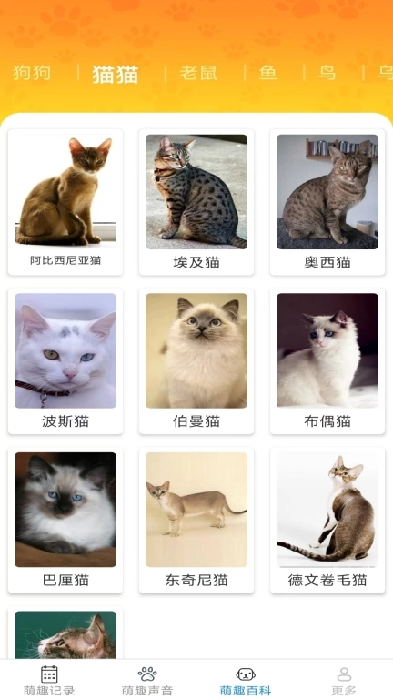 日常养宠
