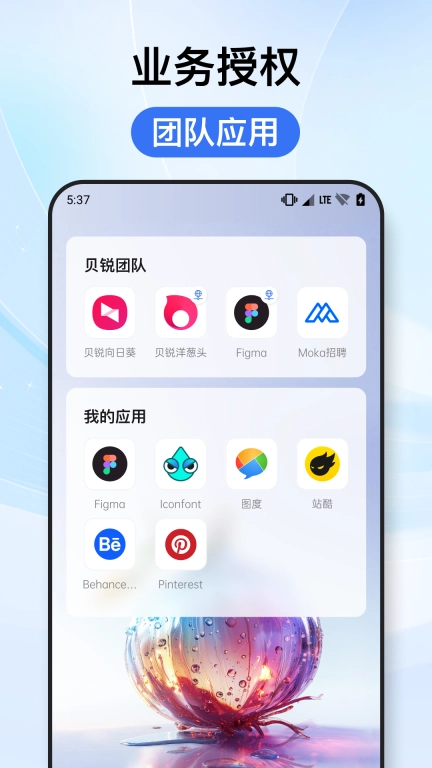 贝锐洋葱头