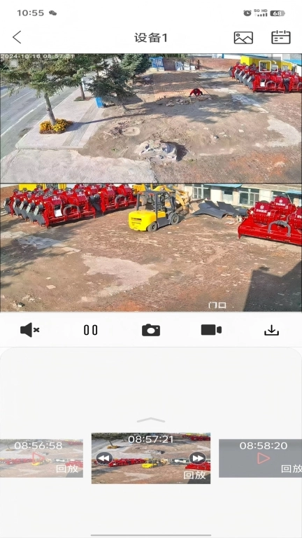 小福看家