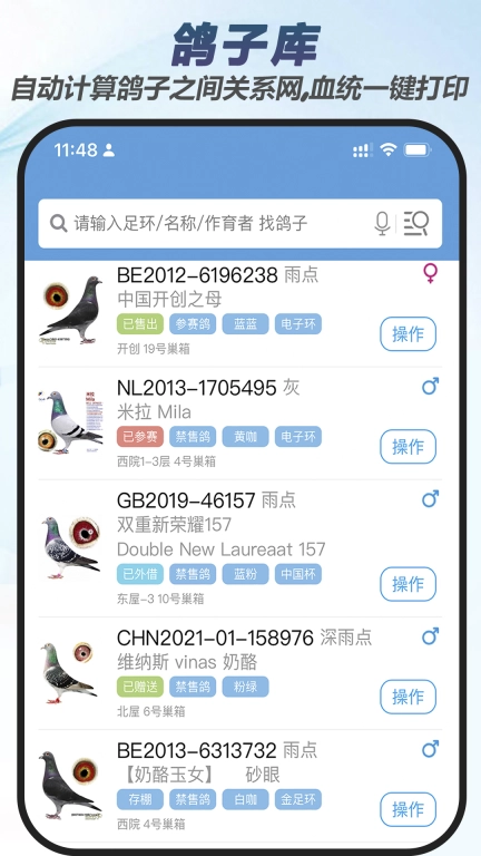 赛鸽云
