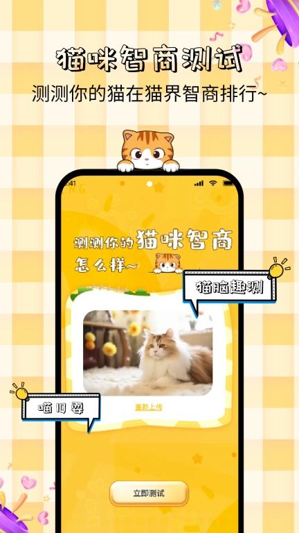 猫语神翻译
