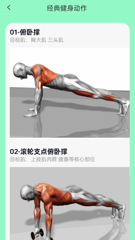 先行走路宝