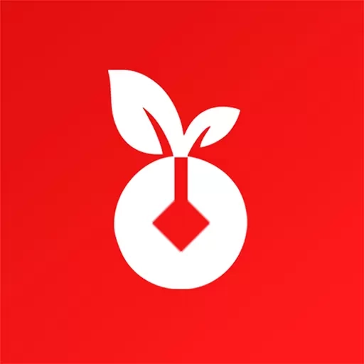 黑银