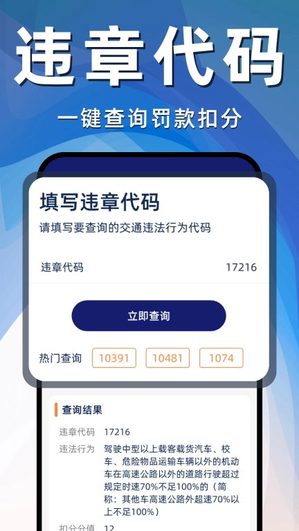 驾驶违章指南