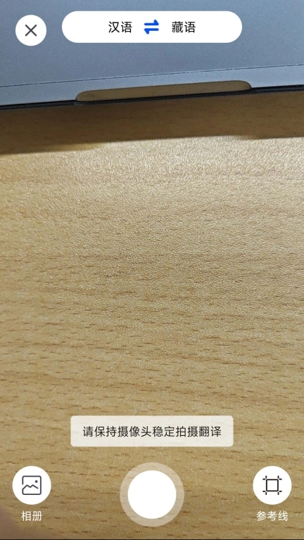 阳光雪莲