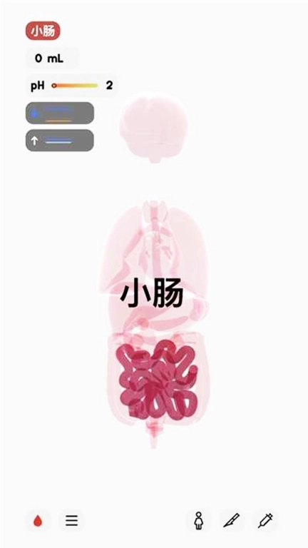 人体细胞模拟器-生命life