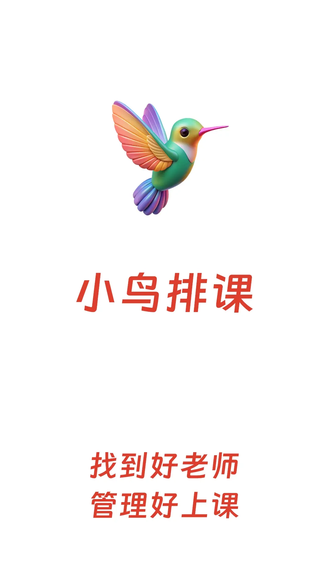 小鸟排课