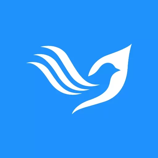 鸽小宝