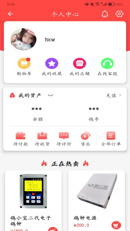 鸽小宝