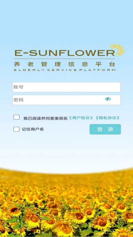 美丽花