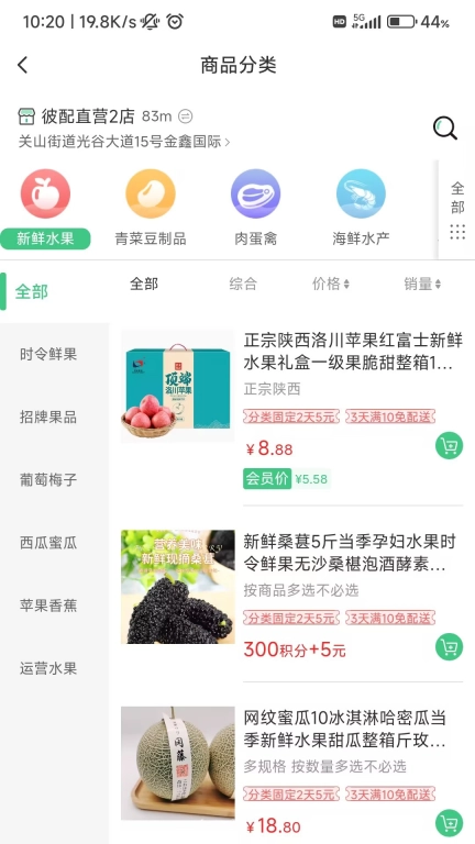 轩果陶