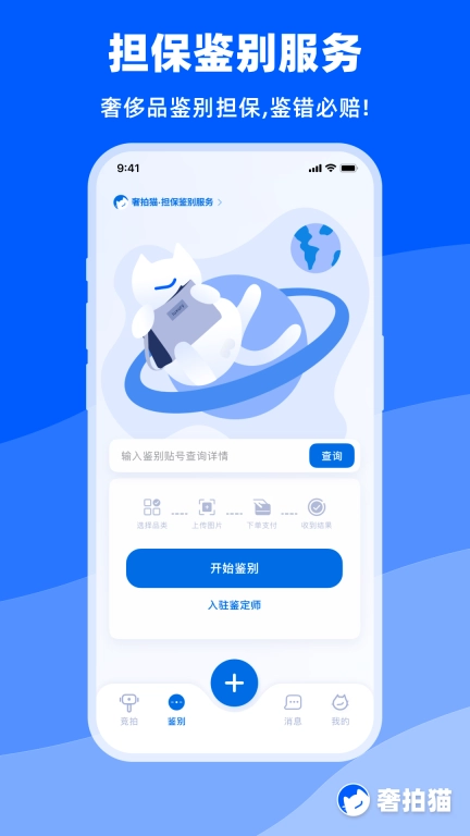 奢拍猫