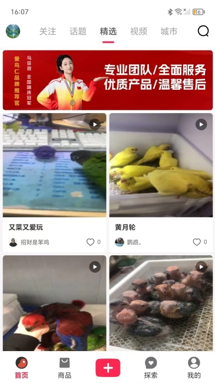 爱鸟仁