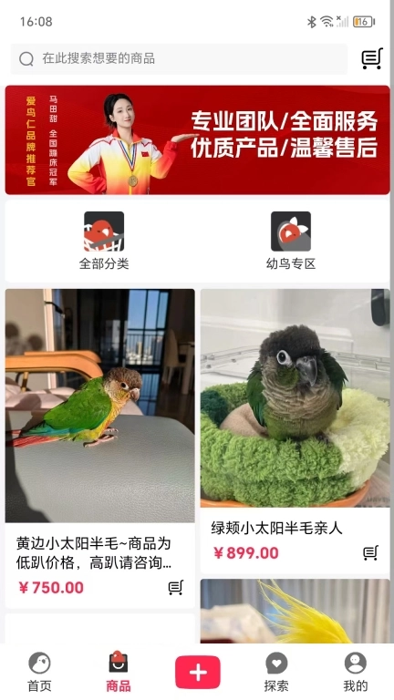 爱鸟仁