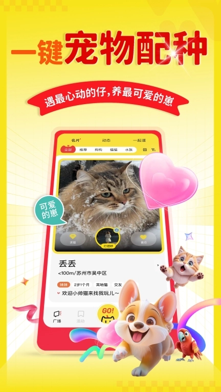 宠源源