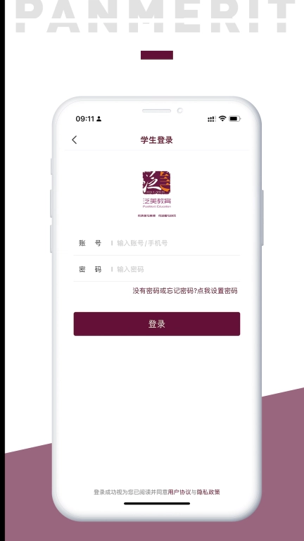 泛美教育