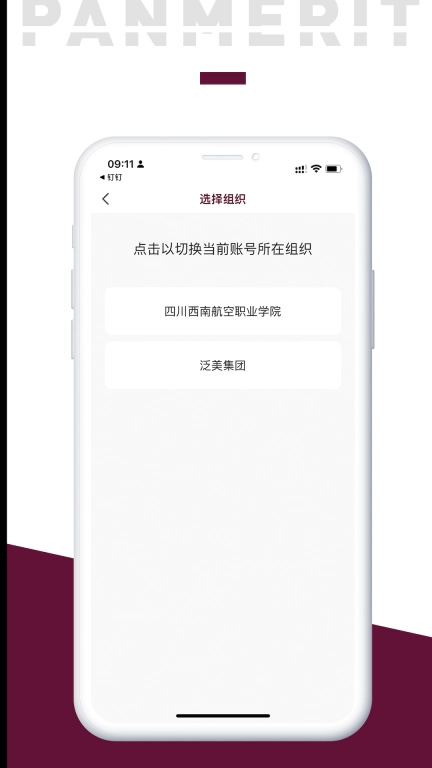 泛美教育
