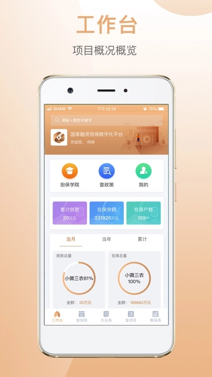 国家融资担保