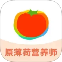 薄荷宝箱