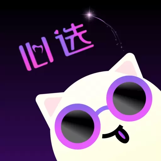 心选语音