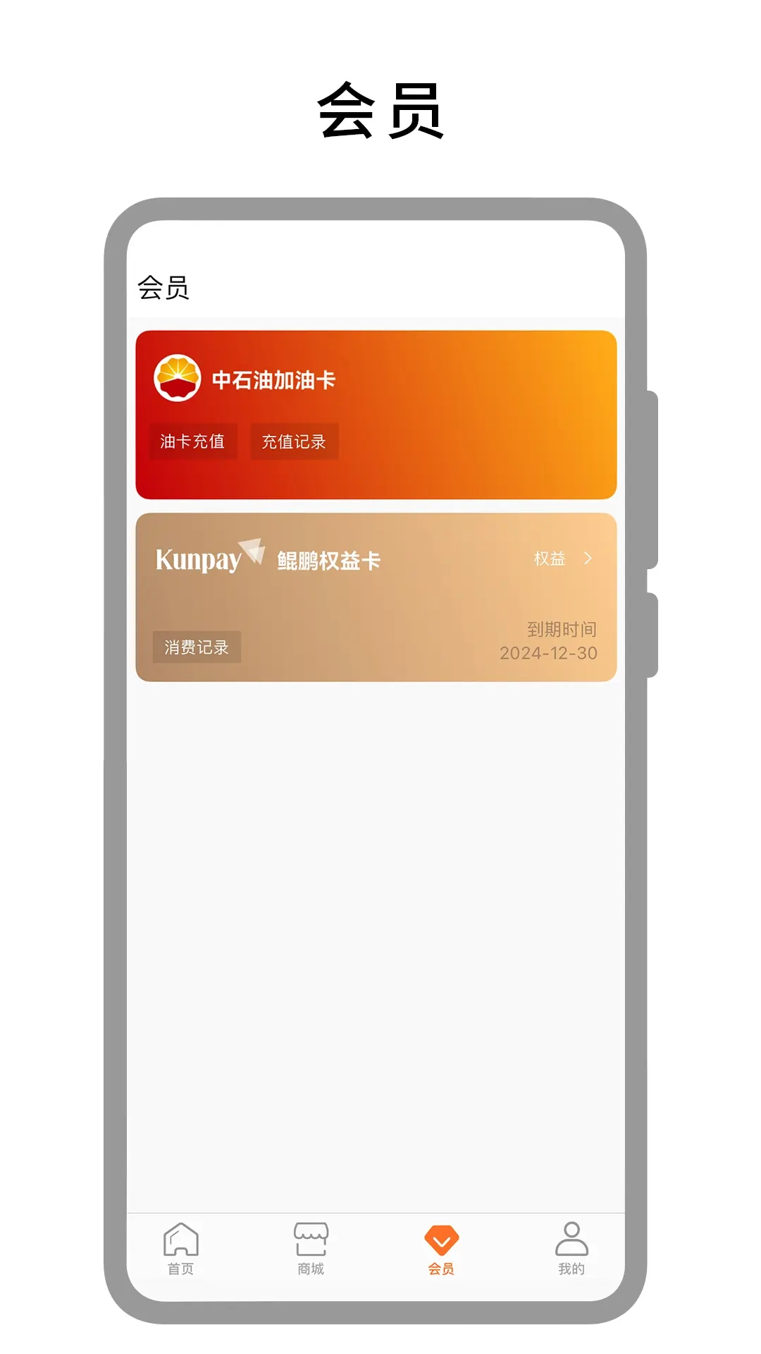 鲲鹏快付