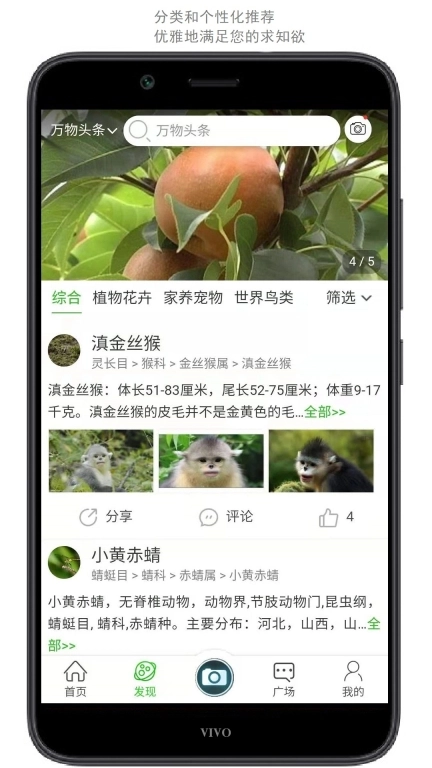 万物志-拍照识花和万物识别
