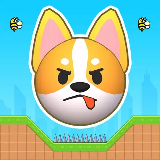 智斗汪星人