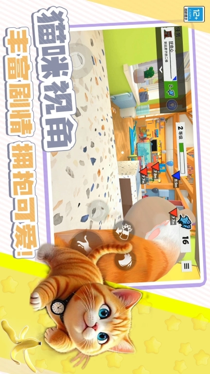 躲猫猫魔性派对-我是大猫猫