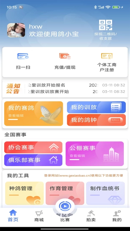 鸽小宝