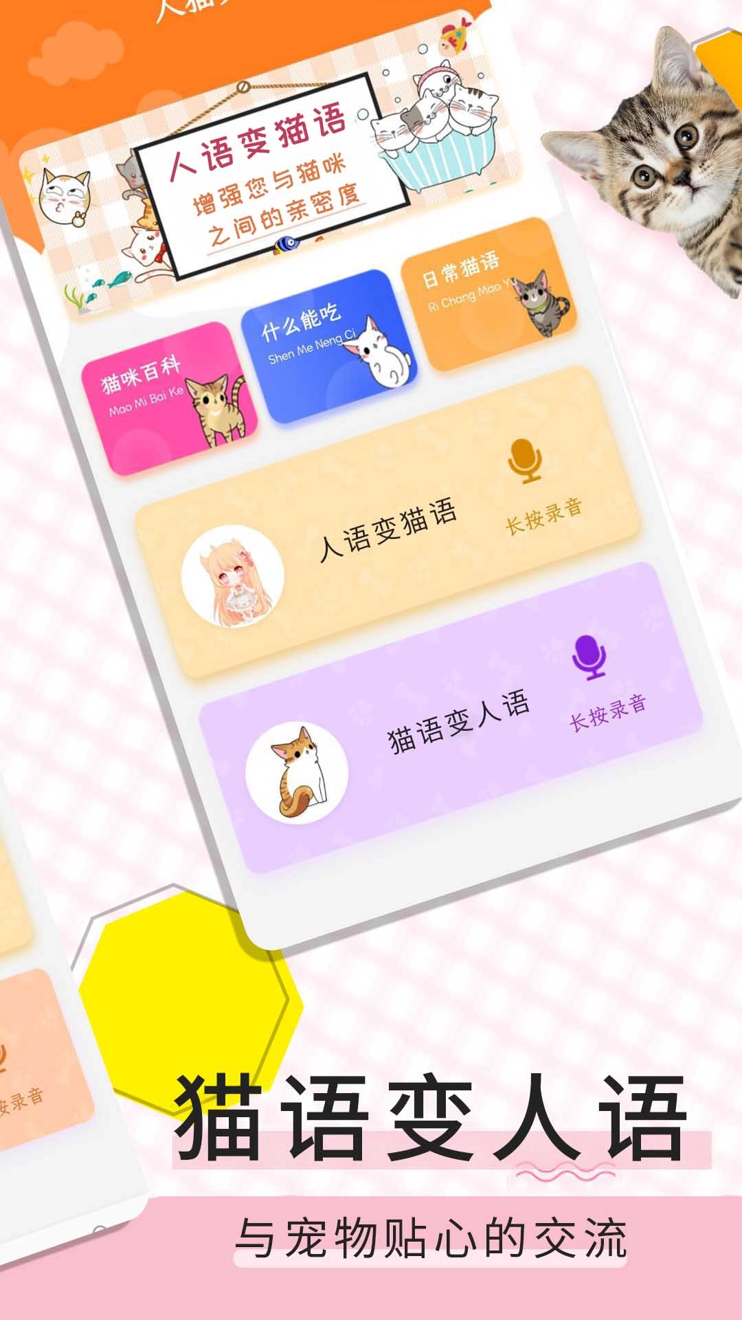 猫语翻译宝