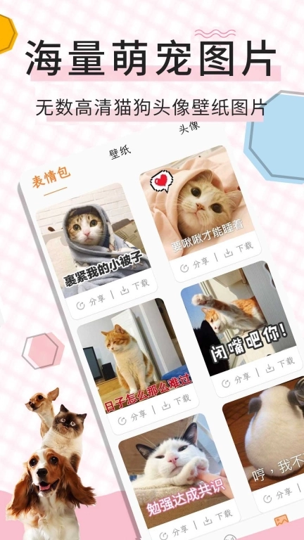 猫语翻译宝