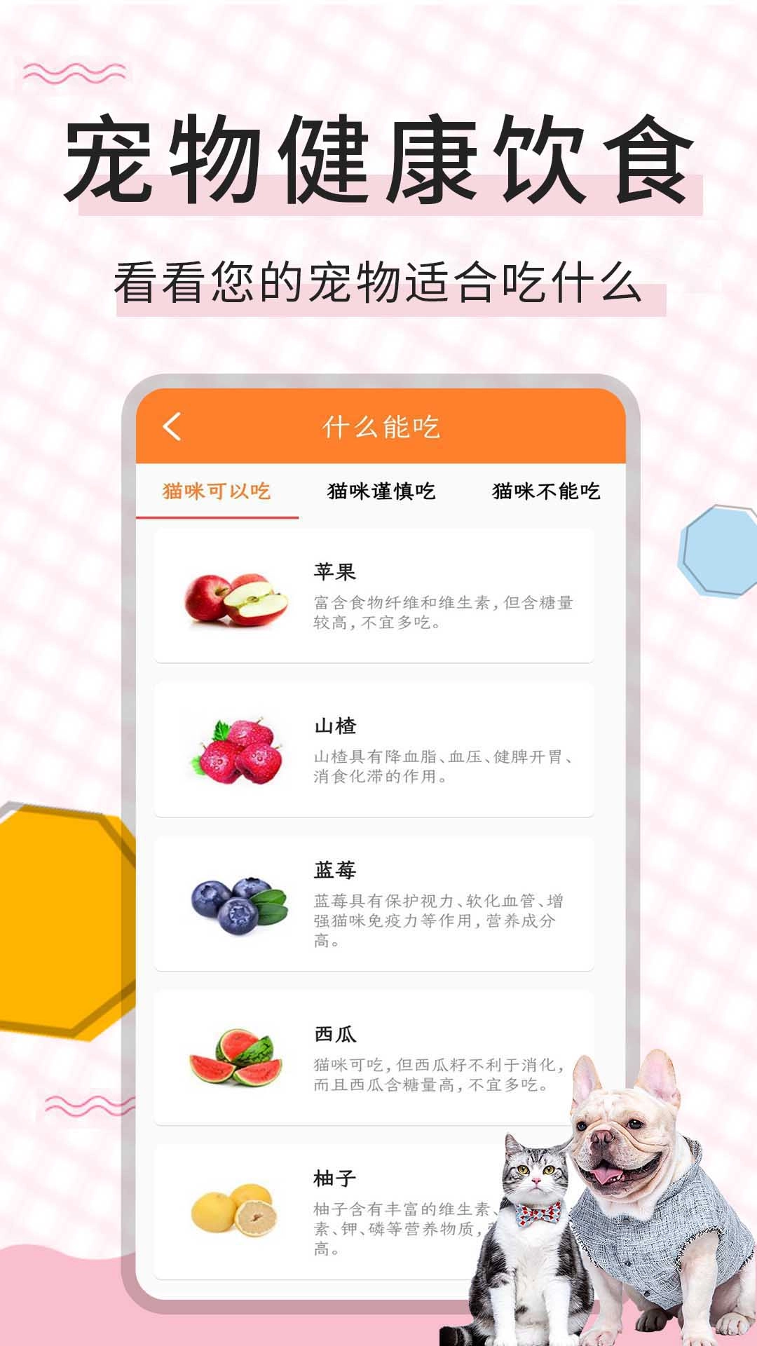 猫语翻译宝