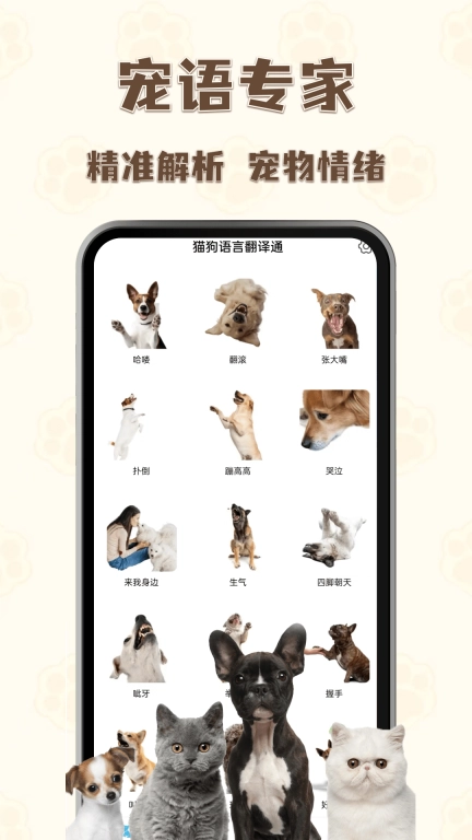 猫狗语言翻译通