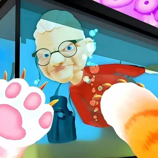 愤怒奶奶和猫