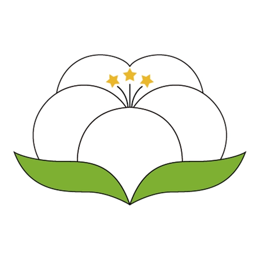 纱纤亿