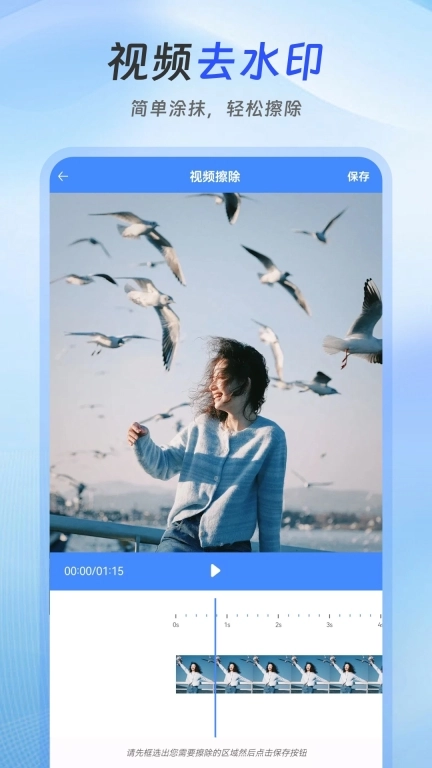 去水印Lab-视频去水印